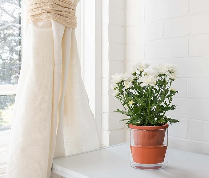 D'vine Dev 4 Inch Design Self Watering Planter for Indoor Plants, Terracotta Pot with Cylinder Glass Cup, Set of 4, 37-X-A-4