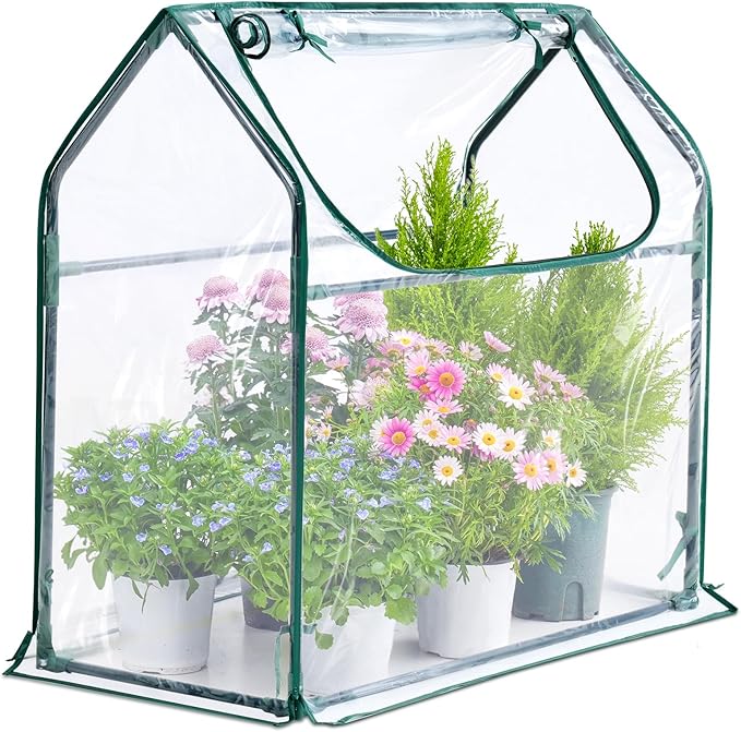 Quictent Portable Mini Cloche Greenhouse w/ Elevated Bottom, Reinforced High Light Transmission Waterproof UV-Resistant Hot House for Indoor Outdoor, 36" x 18" x 33", Clear