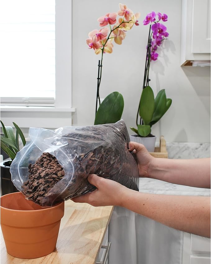 100% Natural Pine Bark Mulch Nuggets (4 Quarts), Small Mulch Chips for Indoor/Outdoor Container Gardening, Ideal for Soil Supplement, Houseplant Mulch