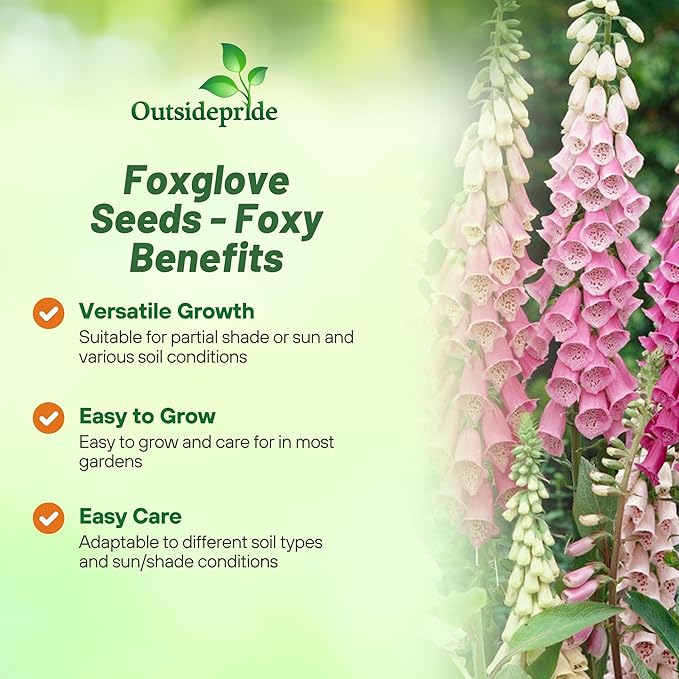 Outsidepride Digitalis Purpurea Foxy Foxglove Seeds – 10000 Pcs Biennial, Prolific, Tall Growing Flower Seeds w/Pollinator-Friendly Blooms for Shaded Gardens & Outdoor Landscapes (AAS Winner)