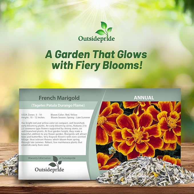 Outsidepride Durango Flame French Marigold Seeds - 250 Pcs Annual, Compact, Heat & Drought Tolerant Flower Seeds for Planting w/Anemone Type Bi-Colored Blooms, Ideal for Vibrant Pollinator Gardens