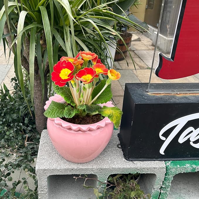 8in Pink Ceramic Pot Self Waterring Terracotta Planter Maintenance Plant Seeder Planting Flower Pot Design Self Watering Planter for Indoor Plants African Violet Planter Pot