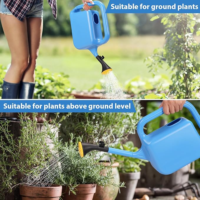 Outdoor Watering Can for Plants Indoor Watering Can for Houseplants 3/4 Gallon 3L (Blue)