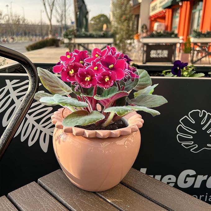 Self Watering African Violet Flower Pot - Pink Ceramic Pot Maintenance, Indoor Plant Self Watering Seeder - 6.5 * 4.6 Inch High Absorption Plant Inner Flower Pot