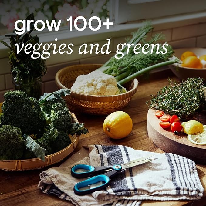 Farmstand Starter Kit + 12 Seedling Credits | Tiny Hydroponic Growing System Kit | Self-Watering Outdoor Vertical Garden Planter Tower | 3ft 8in | Made in USA