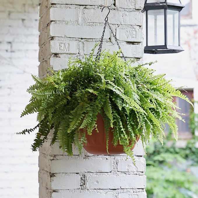 YIKUSH Hanging Planter for Indoor and Outdoor Plants 2 Pack 12 inch Flower Pot Plastic Plant Pot with Drainage Hole and Absorbing Tray（Terracotta）