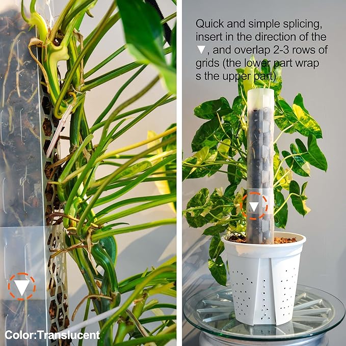 Plastic Moss Pole 4 Pcs Plant Stakes Extending to 62 Inch for Training Indoor Climbing Plants Such as Monstera to Grow Upwards-Use Plant Support Poles Work with Sphagnum Moss or Other soils