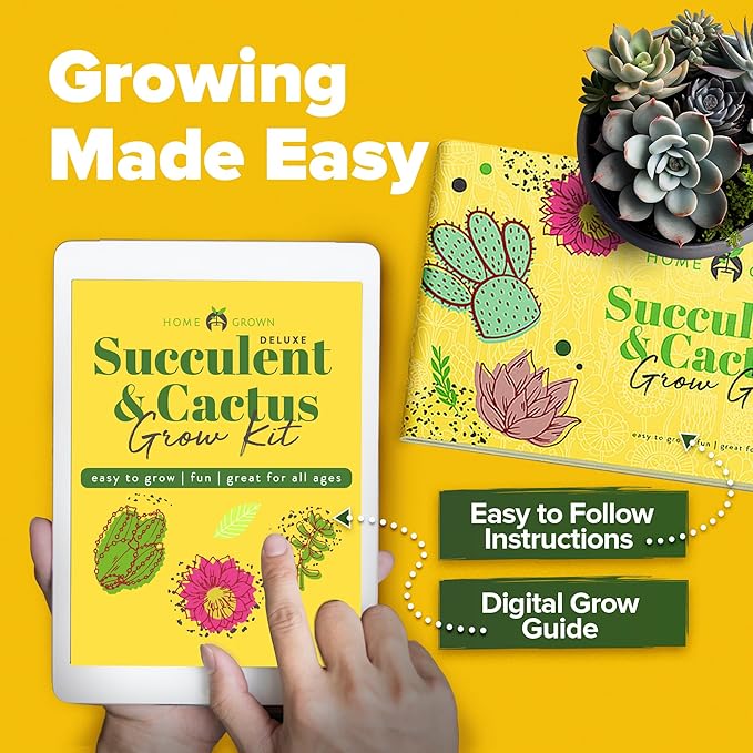 HOME GROWN Deluxe Succulent & Cactus Seed Grow Kit - Indoor Cactus & Succulent Kit w/Cactus Seeds, Potting Soil, Ceramic Succulent Pots, Water Drip Trays, Grow Guide for Plant Lovers