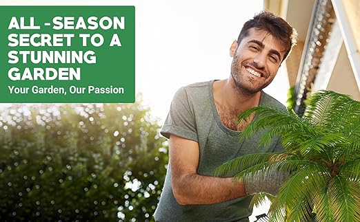 8-4-8 Professional Palm Tree Fertilizer Plant Food; for Indoor Potted Plants and Outdoor Landscape Palm Trees; Quick-Release Nitrogen Fertilizer and Continuous Feeding (1 Quart)