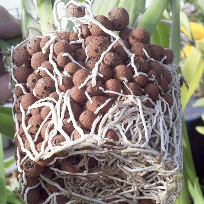 5 lbs LECA Balls for Indoor Plants, 4-16mm Clay Pebbles for Plants Hydroponic, Aquaponics, Natural Leca Balls for Soil Root Development, Orchid Potting Mix