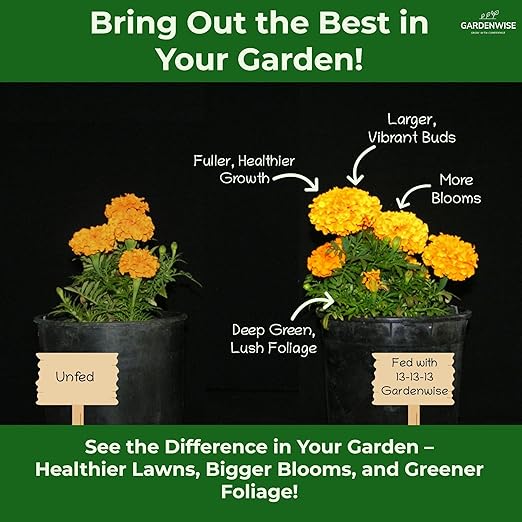 13-13-13 Slow Release Granular Fertilizer – All Purpose Plant Food 13 13 13 for Outdoor Grass, Vegetables, Roses, Flowers, Shrubs, Trees. Lawns, Gardens, Potted Plants (2 quarts)