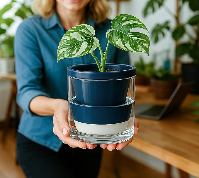 D'vine Dev 4 Inch Design Self Watering Planter for Indoor Plants, Blue Terracotta Pot with Cylinder Glass Cup, Set of 3, 37-Z-A-4-T