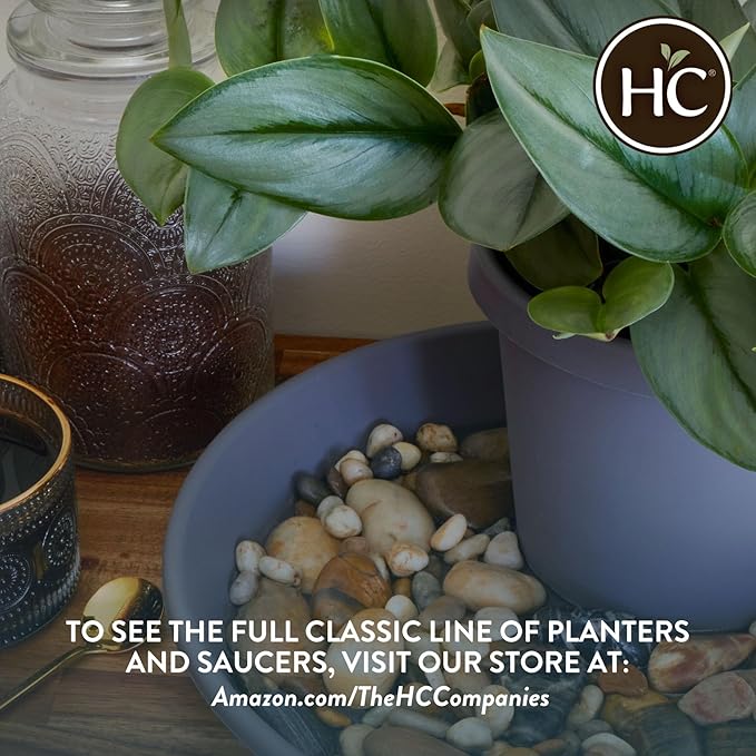 The HC Companies Flower Pot Saucers - Plastic Plant Saucer for Outdoors & Indoors - Traditional Design Plant Pot Trays for Water Drainage - Durable & Stylish Round Plant Tray (6-inch Sandstone)