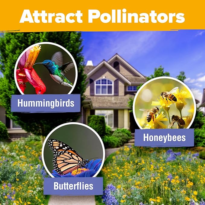HOME GROWN 90,000+ Wildflower Seeds - Bulk Perennial Wild Flower Seeds Mix - 3oz Flower Garden Seeds for Attracting Bees, Birds & Butterflies - 24 Variety Plant Seeds for Outdoor Garden