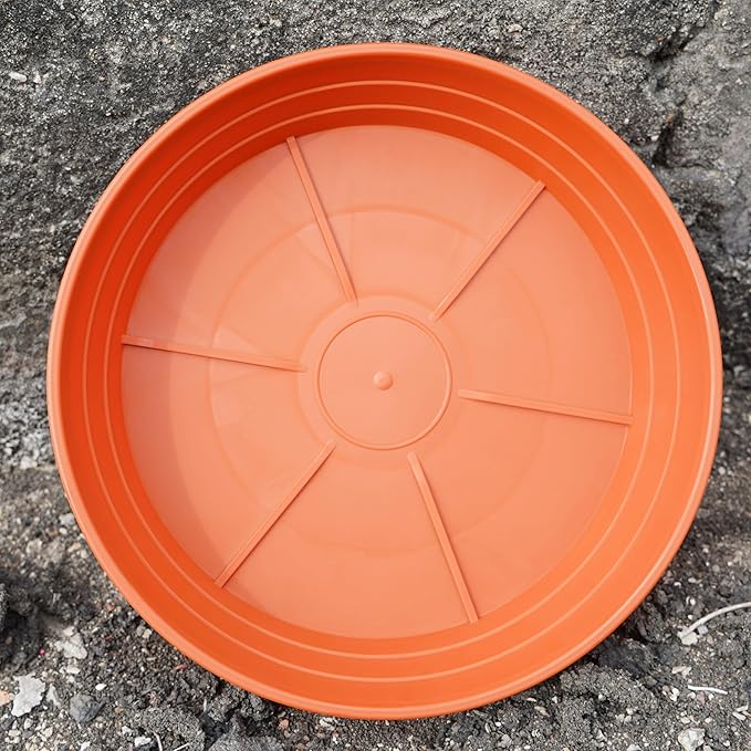 Plant Saucer 6 Inch 4 Pack 6 8 10 12 14 16 18 20 25, Plastic Plant Trays for Pots，Extra-Deep Plant Water Dray Tray, Bird Bath Bowl, Heavy Flower Plant saucers Indoors and Outdoor No Holes 6in-4 red