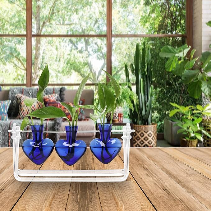 Plant Terrarium Propagation Stations with Wooden Stand Birthday Gifts for Women Plant Stand Indoor Office Home Decor