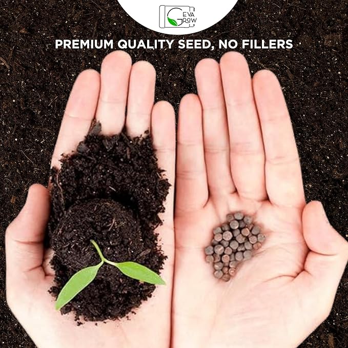 Regional Wildflower - Northeast USA Wildflowers - 100% Pure Seed - Organic, Non-GMO - 21 Wildflower Variety Seeds of Annual & Perennial, 1 LB Tub