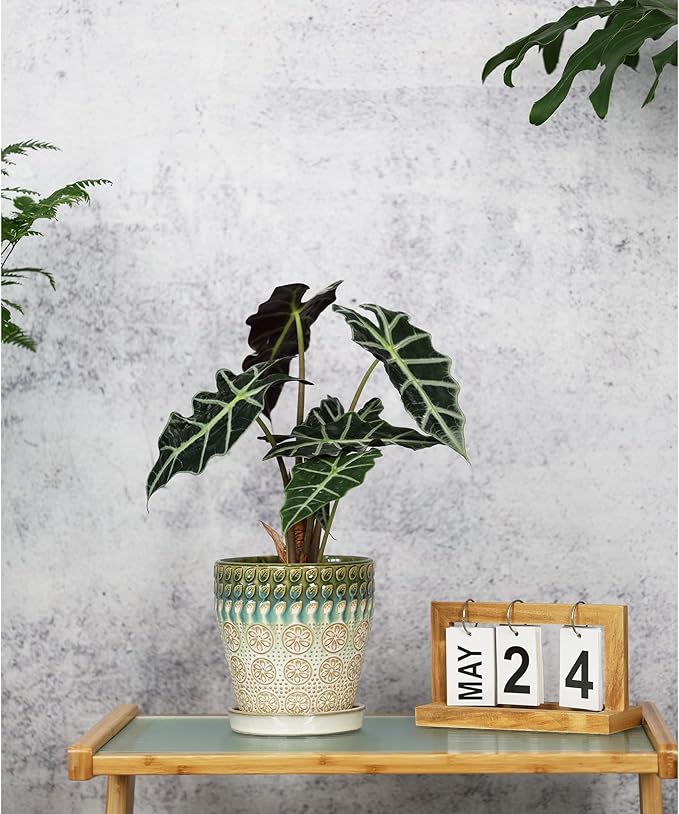 6 Inch + 5 Inch Ceramic Planter with Drainage Hole and Saucer for Plants, Indoor-Outdoor Round Succulent Orchid Garden Flower Pot - Set of 2