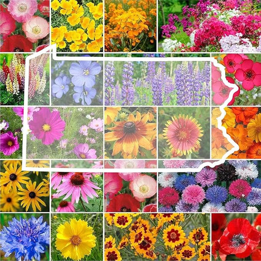 Eden Brothers Pennsylvania Wildflower Mixed Seeds for Planting, 1/4 lb, 120,000+ Seeds with Coreopsis, Lupine | Attracts Pollinators, Plant in Spring or Fall, Zones