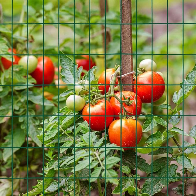 Green PVC Coated Welded Wire Fence 36 Inch x 50 Foot, 2 Inch x 4 Inch 14GA, Garden Border Fencing Roll Vinyl Coating Metal Wire Mesh Hardware Cloth for Yard Vegetable Plant Protection