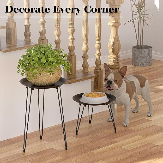 SUEH DESIGN Plant Stand Indoor, Metal Plant Stand Round Plant Table Heavy Duty Plant Stool Flower Pot for Indoor Outdoor Home Decor, 1 Pack Short