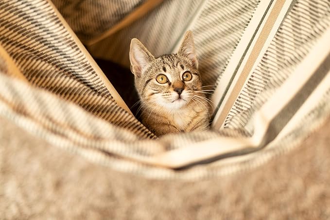 La Siesta® - XL King Habana Cotton Hanging Hammock Chair, Indoor Outdoor Hammock Swing Chair, Boho Hanging Chair Bedroom Patio, Max 355 Lbs, Zebra