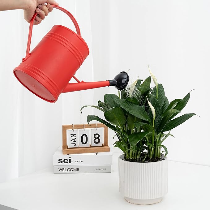 Watering Can for Indoor Plants, Flower Watering Can, Plastic Water Can for Plants, Indoor Watering Can with Sprinkler Head 68 oz, 1/2 Gallons