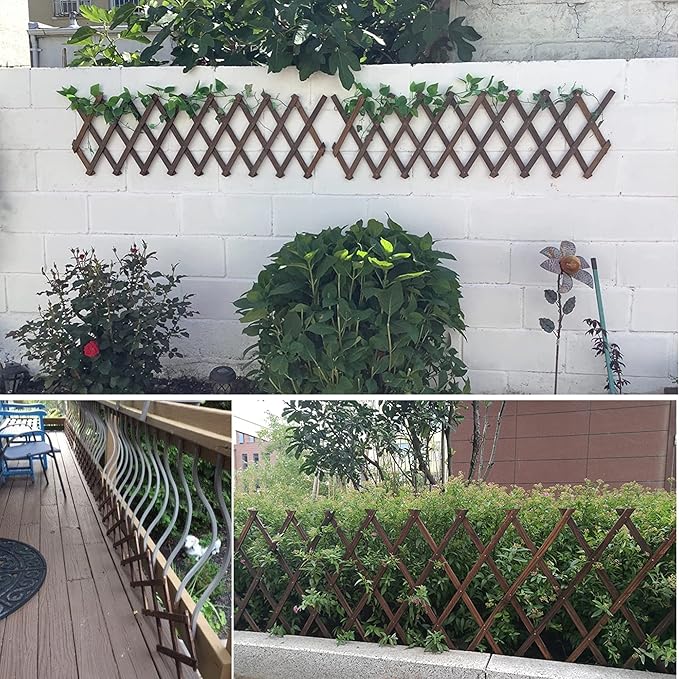 Wooden Lattice Wall-Expandable Plant Garden Trellis for Climbing Plants Outdoor Air Plant Vertical Rack Wall Decor for Room Patio