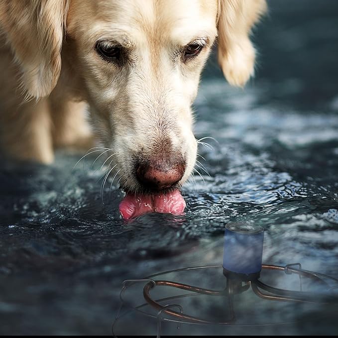 Farm Innovators 1500 Watt Cast Aluminum Submergible Water Tank Deicer, with Self Regulating Thermostat and Anti Chew Cord Protector, 2 Pack