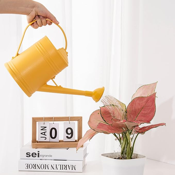 Watering Can for Indoor Plants, Plastic Flower Watering Can with Detachable Sprinkler Head, Indoor Watering Can for House Plants, Flowers 68oz 1/2 Gallon