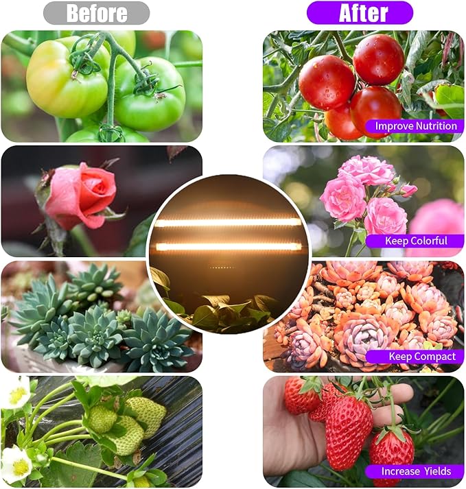 LED Grow Light Strips, Full Spectrum Plant Growing Lights for Indoor Plants 3000K, 144 LEDs Plant Lamp with 3/9/12H Timer, 10 Dimmable Levels, 3 Head 13 Inches (2 Strip 3 Pack 3000K)