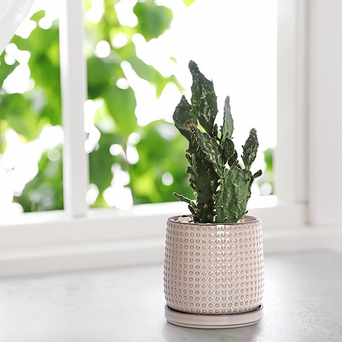 D'vine Dev 6 Inch 4 Inch Ceramic Indoor Planter Pots with Drainage Hole and Saucer, Beaded Design Flower Pots, Set of 2, Light Brown, 27-D-U-4