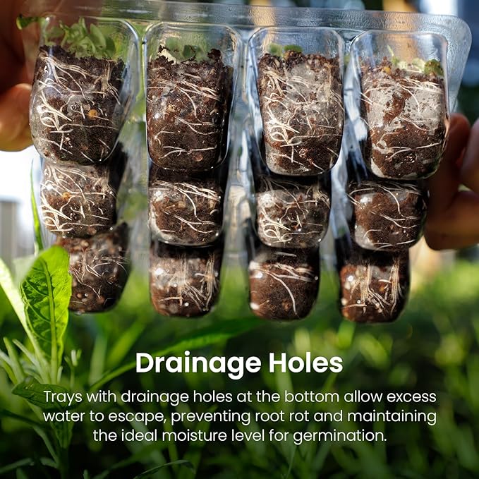 MIXC 6-Pack Seed Starter Tray Kit with Plant Light Seedling Trays with Adjustable Humidity Domes & Clear Cell Trays 12 Full Spectrum LED Beads for Indoor Plant Growth(Black)