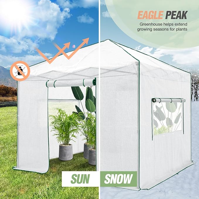 EAGLE PEAK 10x10 Portable Walk-in Greenhouse, Pop-up Indoor Outdoor Garden Green House, Zippered Doors and Windows, PE Cover, White