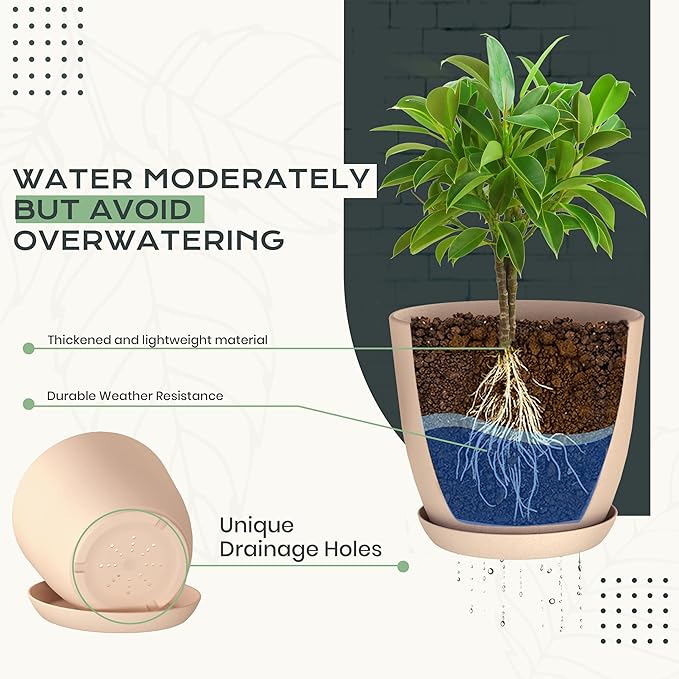 Utopia Home - Plant Pots Indoor with Drainage - 7/6.6/6/5.3/4.8 Inches Home Decor Flower Pots for Indoor Planter - Plastic Planters for Indoor Plants, Cactus, Succulents Pot (Pink, Pack of 10)