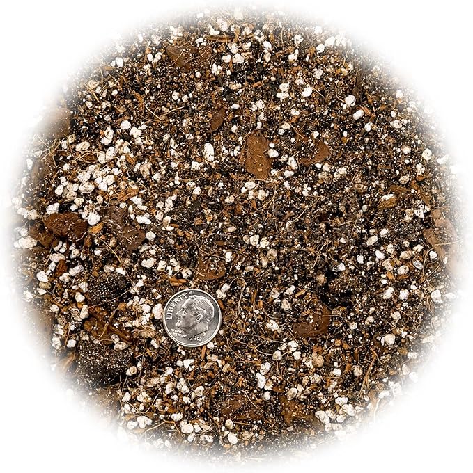 Fiddle Leaf Fig Soil Mix - 10 Quart - Premium Blend of Peat Moss, New Zealand Bark, Coco Chips, and Perlite for All Purpose Planting - 2 Bags of 5 Quart