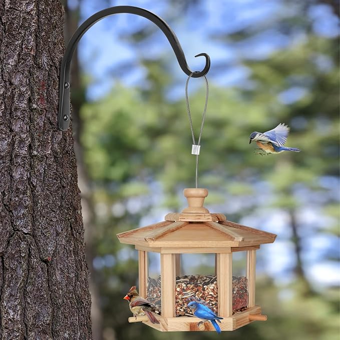 Worth Garden 6-Pack 8" Plant Hanger Bracket - Hand-Forged Wrought Iron Powder-Coated Heavy Duty Wall Hooks - Black Curved Plant Hanging Hooks for Bird Feeders, Flower Baskets, Indoor & Outdoor Use