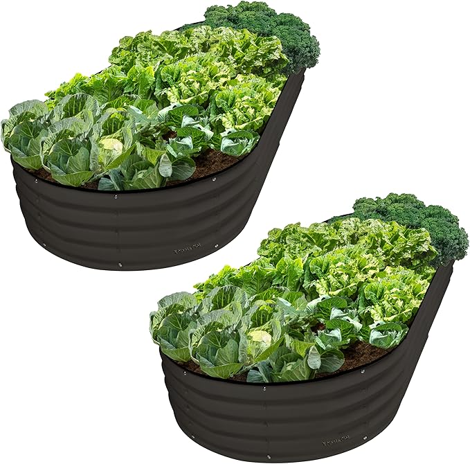 Galvanized Raised Garden Beds Outdoor // 8×4×1 ft (2-Pack) Planter Raised Beds for Gardening, Vegetables, Flowers // Large Metal Garden Box // Patented Tool-Free Design (Black)
