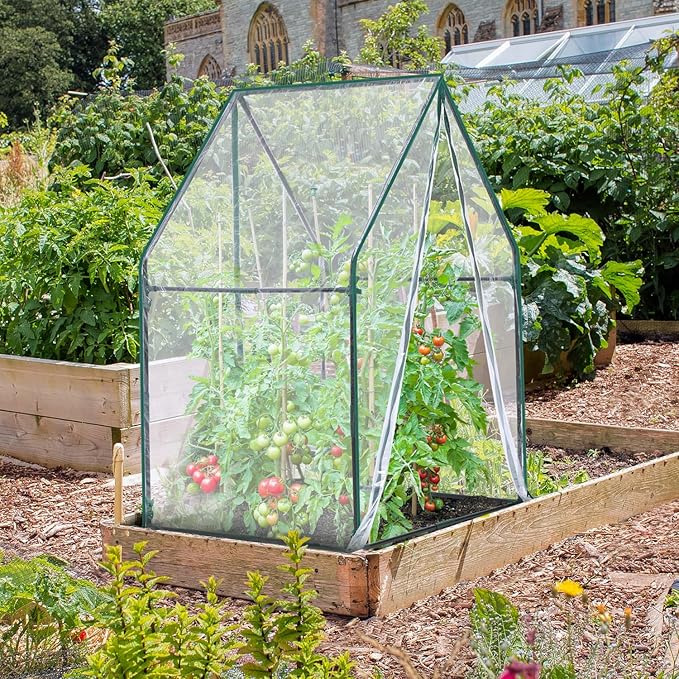 Mini Greenhouse for Indoor Outdoor: Ohuhu Portable Green House with Waterproof Pad for Small Plants Nursery Germination, 36"x36"x58.5" Heavy-Duty PVC Cover Tent Humidity Dome Seedling Accessory