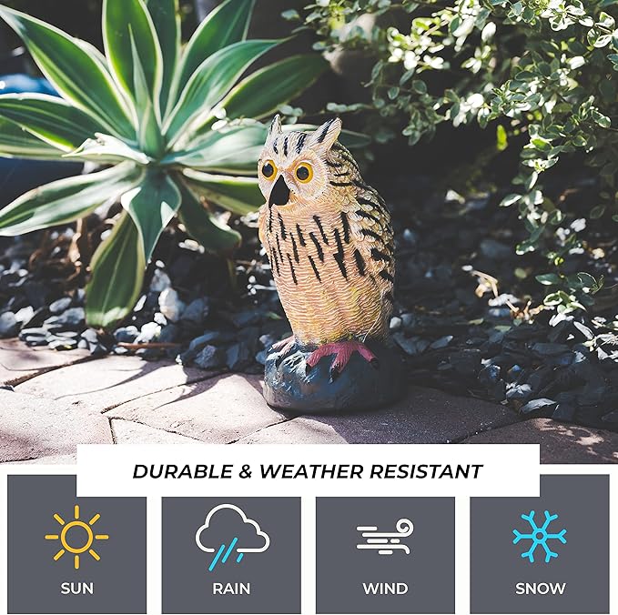 Galashield Owl Decoy to Scare Birds Away | Plastic Owls to Scare Birds Away | Owl Statue for Garden & Outdoors by Galashield [Set of 2]