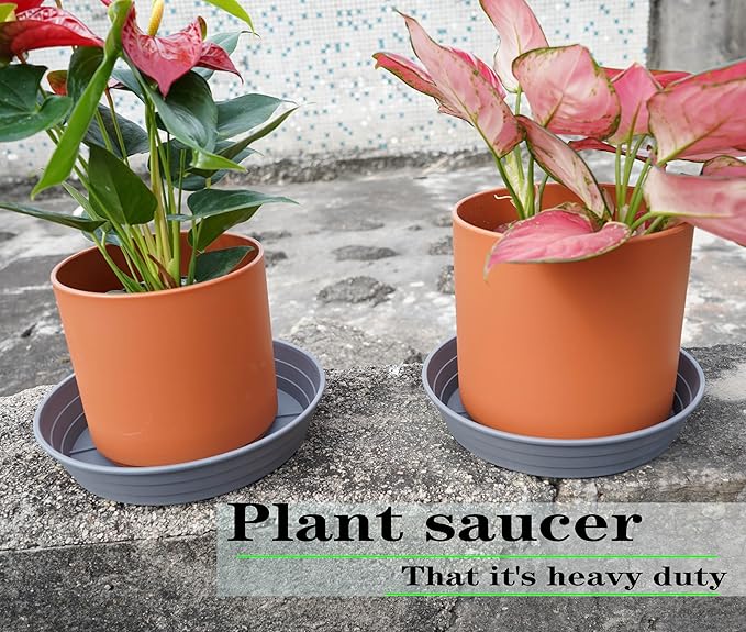 Plant Saucer 14 Inch 2 Pack 6 8 10 12 14 16 18 20 25, Plastic Plant Trays for Pots，Extra-Deep Plant Water Dray Tray, Bird Bath Bowl, Heavy Flower Plant Saucers Indoors and Outdoor No Holes