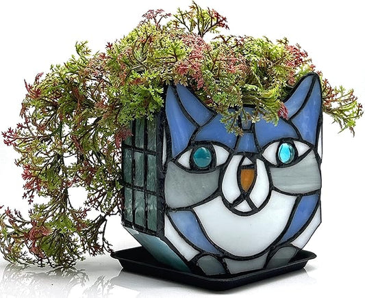 Indoor Plant Display Glass Container, Unique Pots for Plants, Glass Container Decoration,Suitable for Growing Small Plants 4.6x5.15x3 in （Excluding Plants）