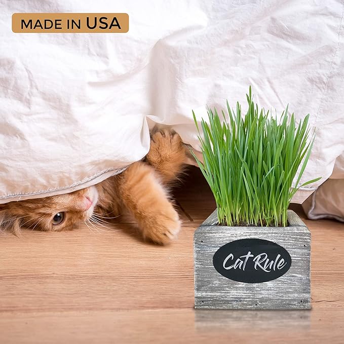 Cat Grass for Indoor Cats Kit – Organic Wheatgrass Seed & Soil, Hairball Remedy in Red Cedar Planter, Gift Box with Bonus Label, Pen & 10% Cat Treats Discount (Coast)