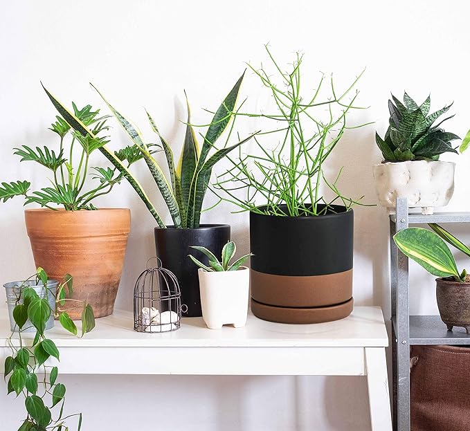 D'vine Dev 6 Inch Ceramic Planter Pot with Drainage Hole and Saucer, Indoor Cylinder Round Planter Pot, Black/Speckled Tan, 94-O-C-7