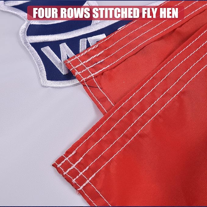 Iowa State Flag 5x8 Ft, Deluxe Full Embroidered Heavy Duty Nylon Durable IA Outside Flags, Indoor/Outdoor, Sewn Stripes and Brass Grommets