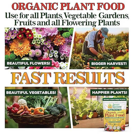 Organic Plant Food with Beneficial Microbes, Fast Acting Vegan Fertilizer for Vegetable Garden, Outdoor & Indoor Plant Fertilizer, Miracle Growth for Plants Concentrated Value 125GR Makes 30 gallons