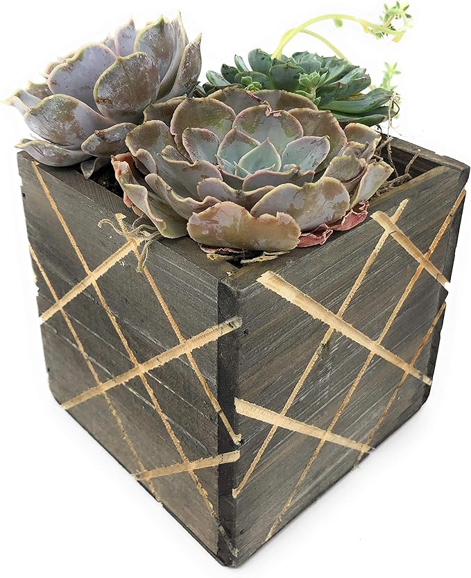 Wood Planter Box with Diamond Cross Hatch Style, 5 Inch Square, Rustic Barn Wood, Plastic Liner, Wedding Flowers Holder, Home and Venue Decor (5x5 Diamond Cross Hatch Set of 4, Natural)