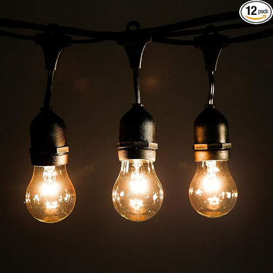 Hometown Evolution, Inc. 24 Foot E26 Outdoor Commercial String Lights with Suspended Socket for Weatherproof Heavy Duty Vintage Outside Lighting - Set of 12 A15 Clear Bulbs