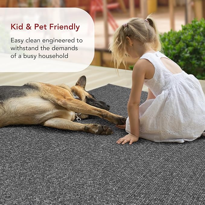 nuLOOM 4' x 6' Solid Hand Braided Indoor/Outdoor Area Rug, Pet-Friendly, High Traffic, Weather Resistant, for Patio, Balcony, Bedroom, Living, Dining Room, Wynn Charcoal