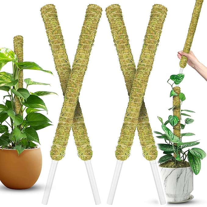 DUSPRO Natural Stackable Moss Pole for Plants Monstera Potted Plant Stakes for Indoor Plants Extendable Plant Pole Moss Sticks for Plants Climbing Vine Supporting Monstera Trellis 4Pcs 22''